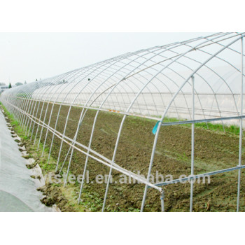 vegetable greenhouses