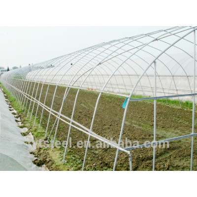 vegetable greenhouses