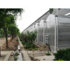 polycarbonate greenhouses for mushroom