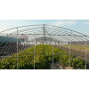 Agricultural Greenhouse-TYTGG