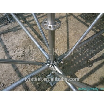 Ring system scaffold scaffolding