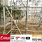 HOT!!Tianyingtai scaffolding system hot dip  galvanized all-round ring lock system