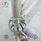 HOT SALE! Q235 hot dipped galvanized ring lock scaffolding