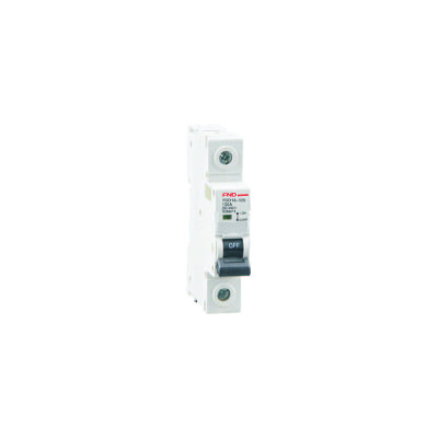Main Switch FDD16-125 1P