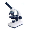 hobby microscopes student biological microscopes