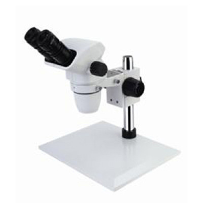 Pillar binocular zoom stereo microscopy