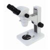 field binocular zoom stereo microscopy