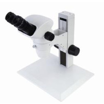 field binocular zoom stereo microscopes