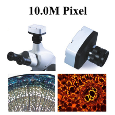 10.0M pixel resolution C-Mount microscope camera
