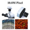 10.0M pixel resolution CMOS microscope electronic eyepiece