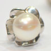 New Oblate Shape Flower Spacer Freshwater Pearl earrings for boys