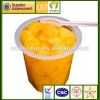8oz canned mandarin fruit in plastic cups in light syrup