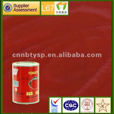 198g*48canned tomato paste factory