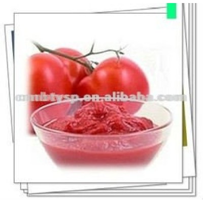 800g*12 Canned Tomato Paste