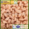 142g*48 canned white kidney beans