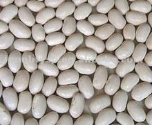 1 canned white kidney beans.jpg