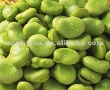Canned Broad Beans.jpg