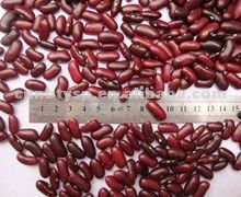 2 Canned Red Kidney Beans.jpg