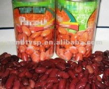 canned red kidney beans.jpg
