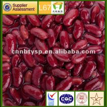 400g*24 canned types red kidney beans