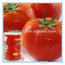 canned tomato paste brand