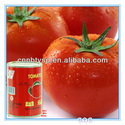canned tomato paste brand