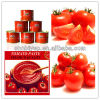 canned tomato paste 28-30