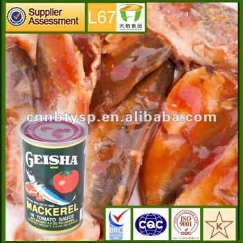 canned fish / canned mackerel in tomato sauce