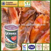 canned fish / canned mackerel in tomato sauce