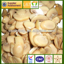 425g*24 chinese canned mushroom