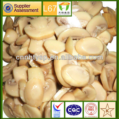 850g*12 best canned mushrooms