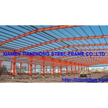 Large Span Steel Structure with Customized Design
