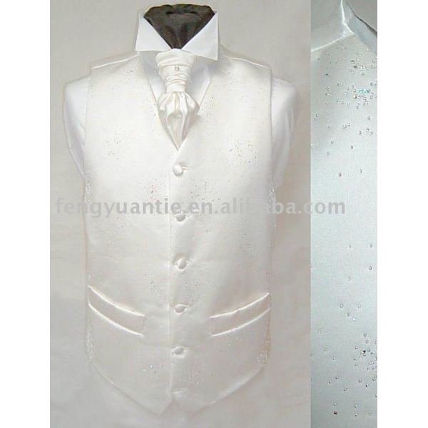 Men`s chaleco de moda