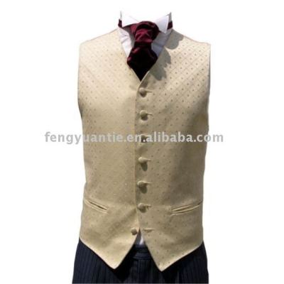 Men`s fashion waistcoat