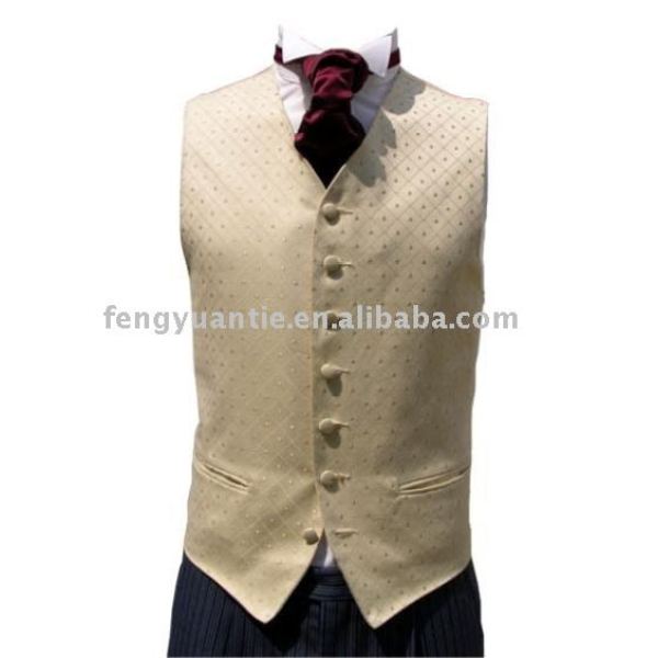 Men`s chaleco de moda