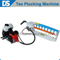 2013 New Design Gasoline Tea Plucker