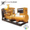 Thermoelectric Generator Diesel Generator With CE& ISO And Brand Engine Factory Sales !!!