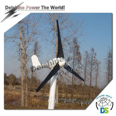 100W Horizontal Wind Turbine Generator DSN-100H