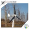 100W Horizontal Wind Turbine Generator DSN-100H