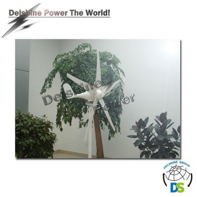 300W Horizontal Generators Wind Turbine DSN-300H 5Blades