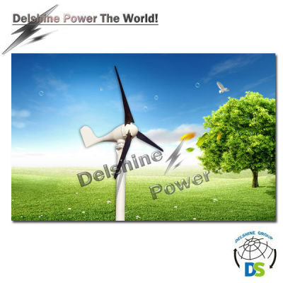 400W Horizontal Mini Wind Turbine Permanent Magnet Generator DSN-400H 3Blades