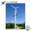 10KW Horizontal Wind Generator DSW-10H Wind Energy