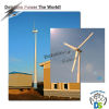 5KW Horizontal Wind Generator DSW-5H
