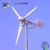 2KW Horizontal Wind Turbine Generator DSW-2H