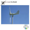300w Mini Wind Turbine DSX-300H