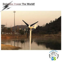 300w Wind Turbines for Sale DSR3-300H