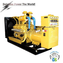 DS200GF Generator Price List Best Sales Chinese Well-know Diesel Generator