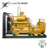 DS200GF Generator 1 mw Best Sales Chinese Well-know Diesel Generator