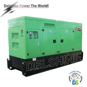 SD110GF 20kva Generator Best Sales Chinese Well-know Diesel Generator