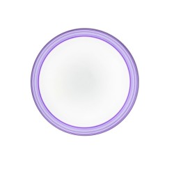 30W LED Ceiling Light